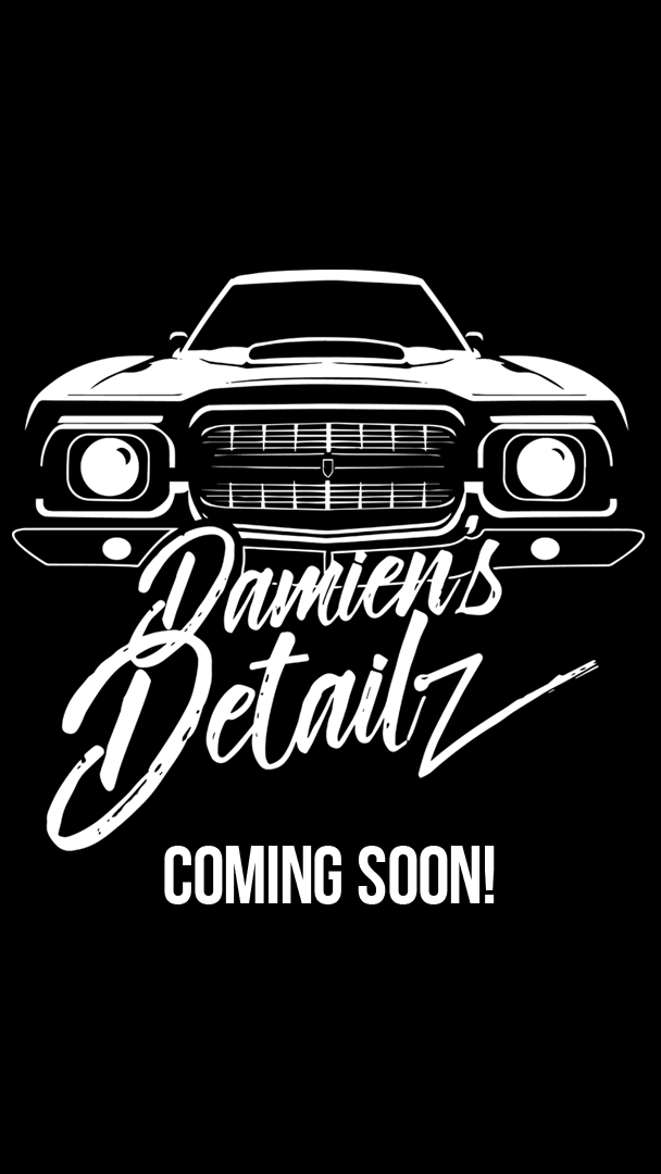 Damiens Detailz logo